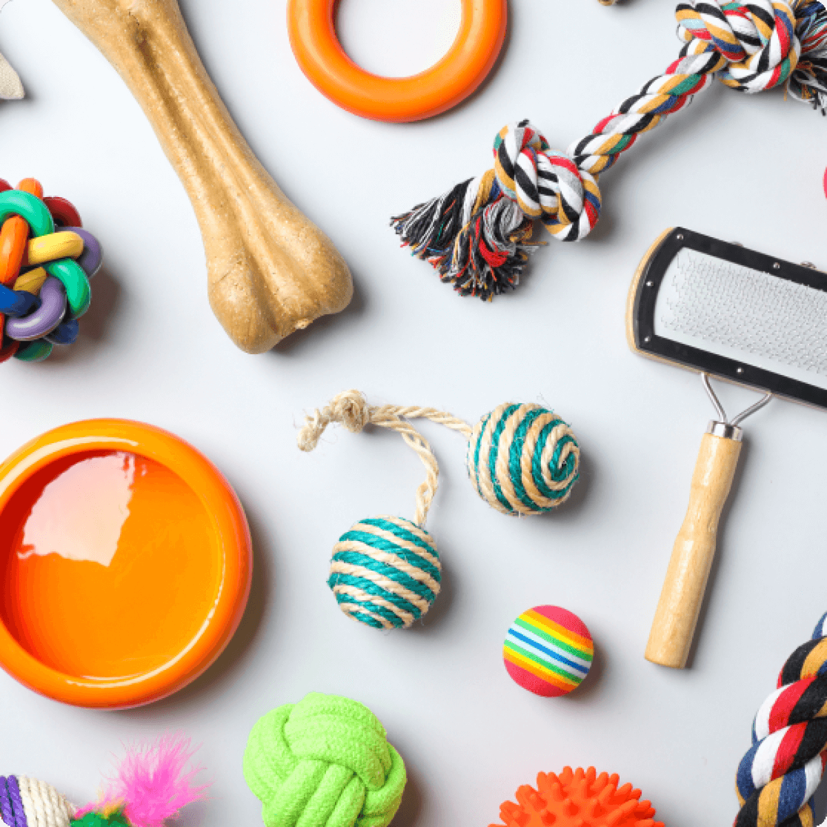 Een collectie van accessoires en speelgoed voor honden geëtaleerd op een witte ondergrond.