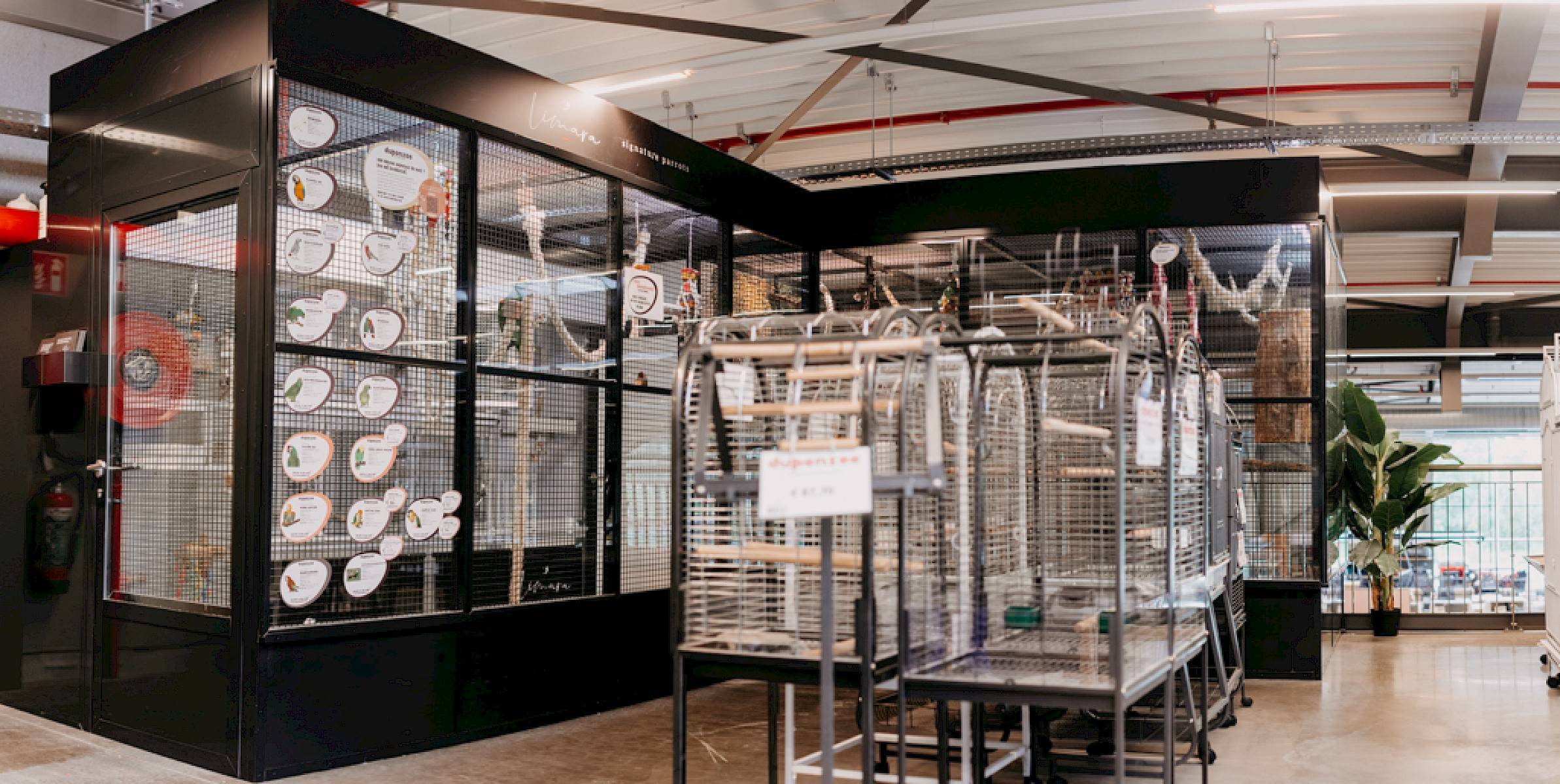 Kooien en accessoires voor papegaaien in toonzaal afdeling vogels / papegaaien