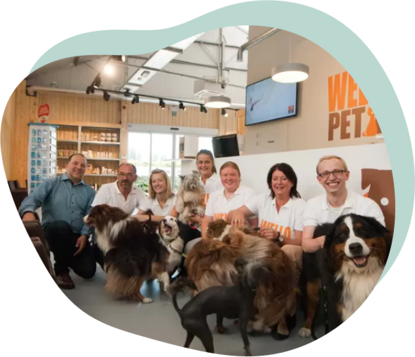 Zeven werknemers van Wellopet zitten geknield in de winkel met voor hen zeven verschillende soorten honden.