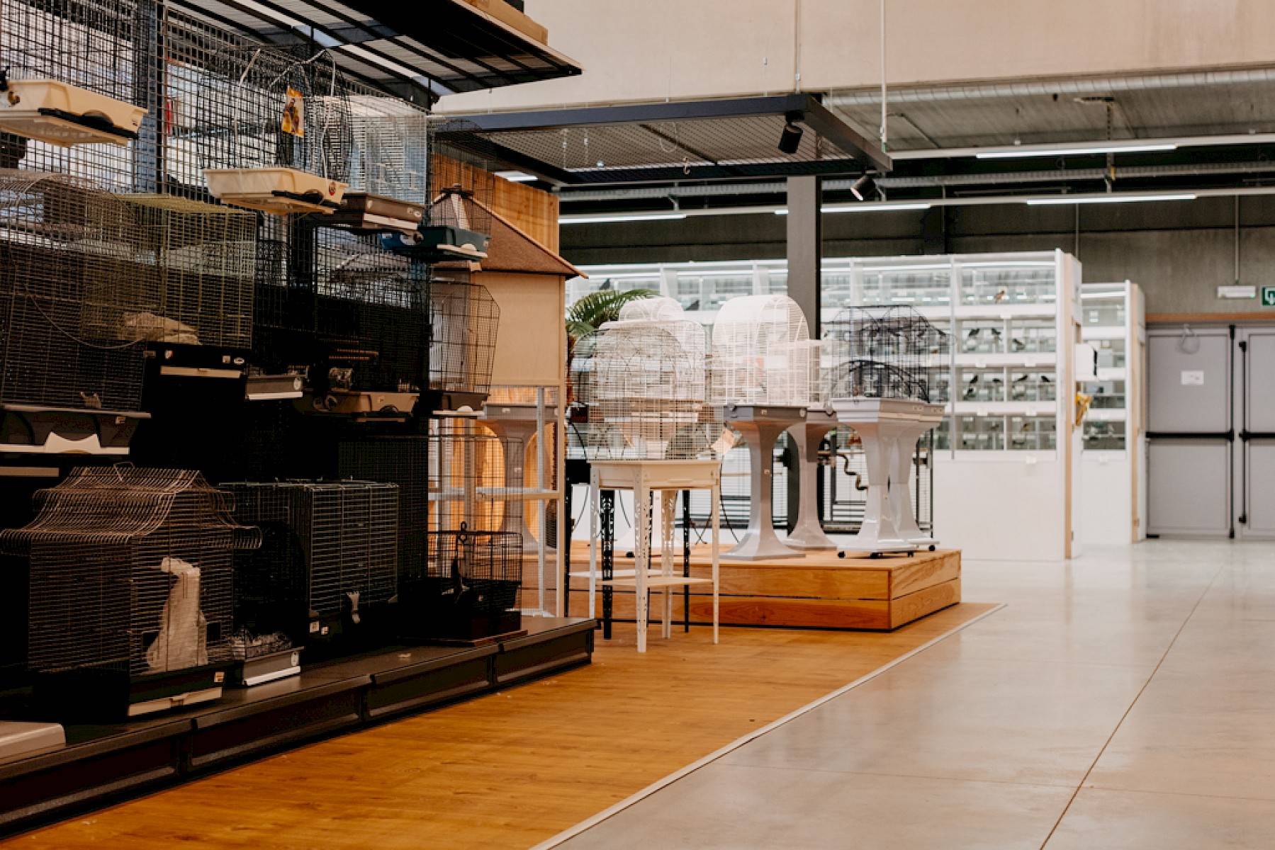 Een deel van het aanbod van vogelkooien van duponzoo geëtaleerd op een houten platform.