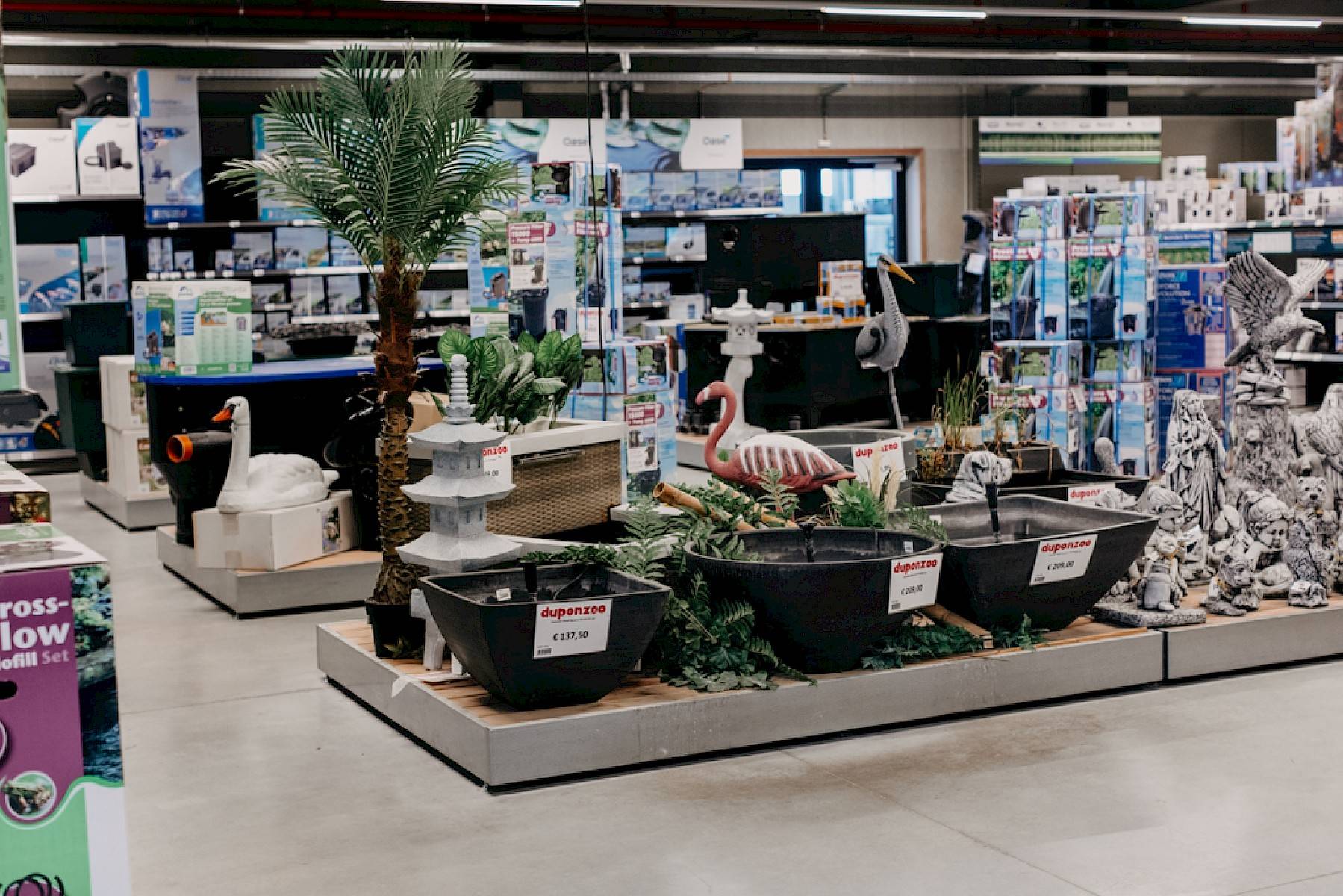 planten, decoratie voor vijvers.